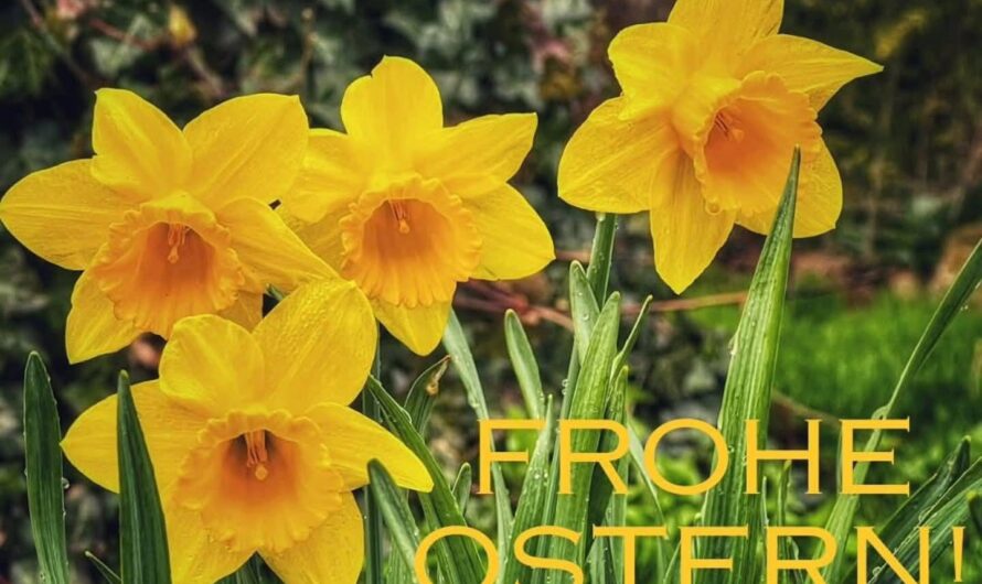 Frohe Ostern!